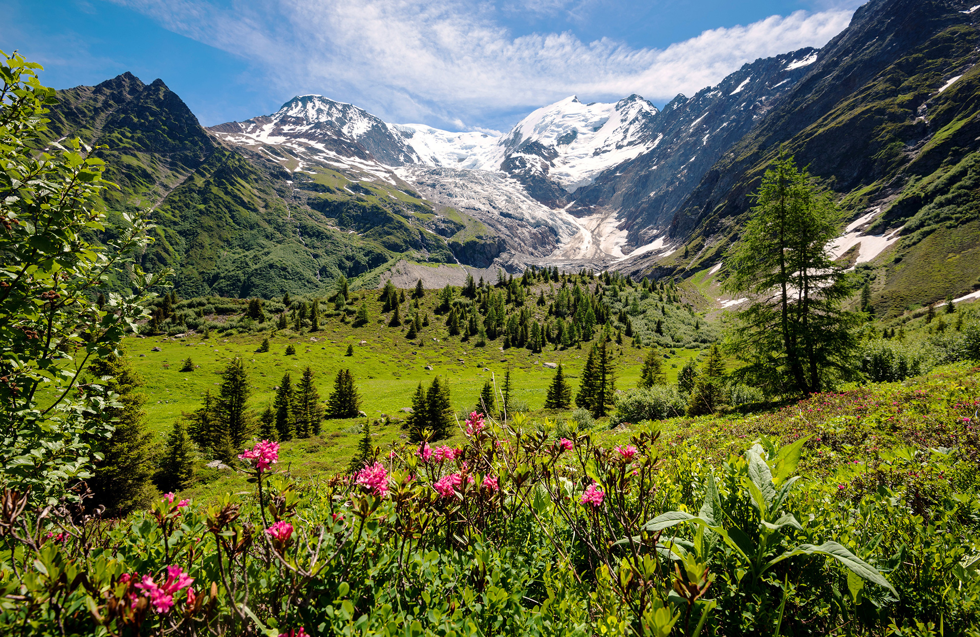 Природа события. Французские Альпы Весна. The Flowery Hiking in the Alps Франция. Альпы Википедия. Фото 16 к горы Альпы вода цветы.