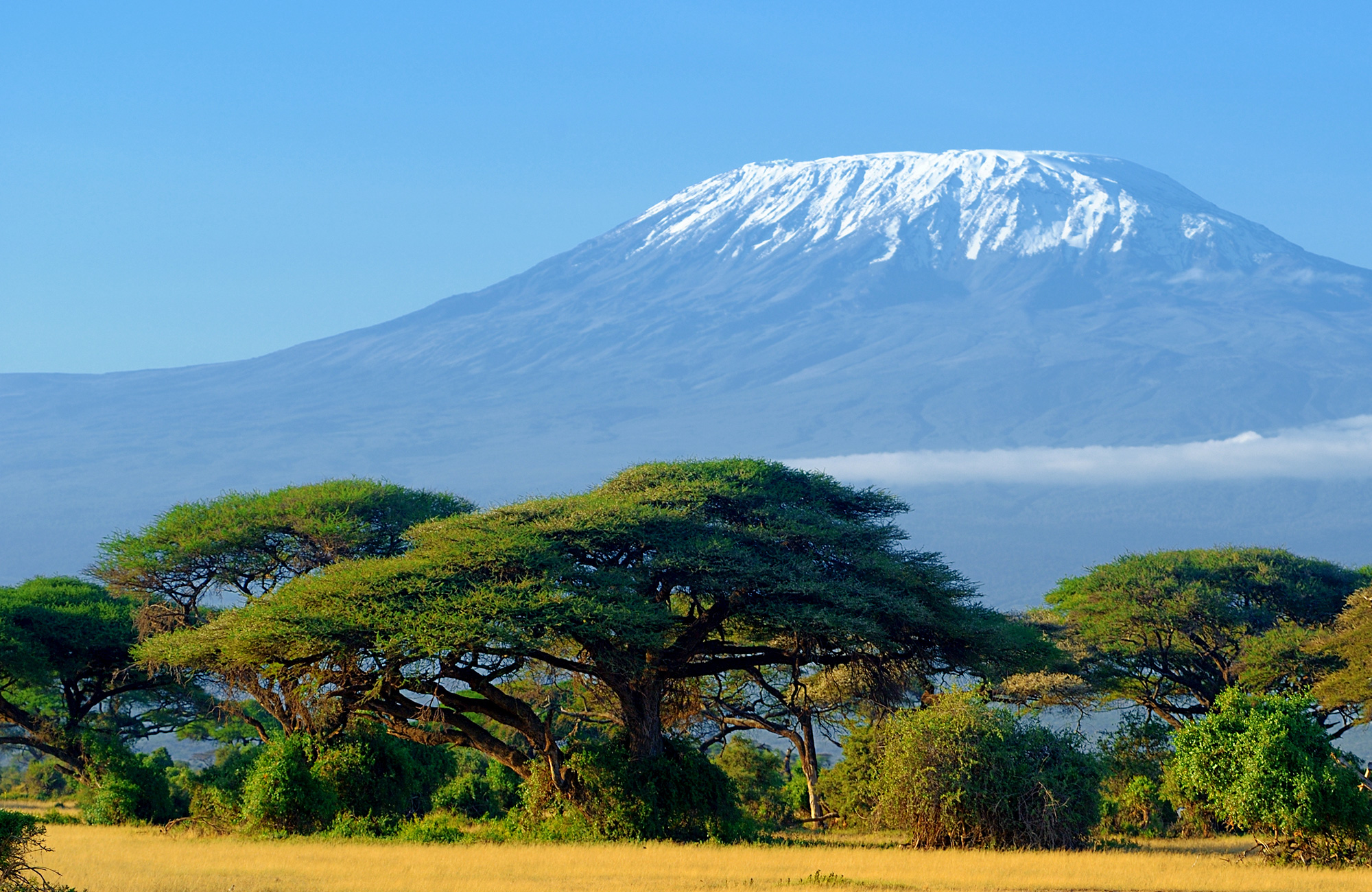 Bestige Kilimanjaro? Turer Til Kilimanjaro Med KILROY